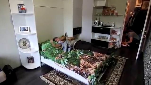 Шкаф кровать в однокомнатной квартире смотреть онлайн