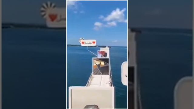 اجمل تصميم لصاحب السمو الملكي الأمير / ناصر بن نواف بن ناصر بن عبدالعزيز آل سعود ❤️ ابوفيصل смотреть онлайн