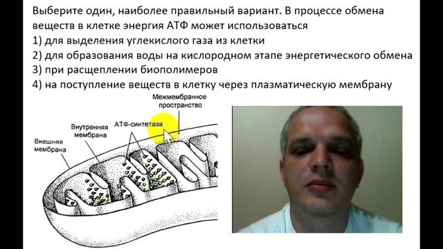 Видео-объяснение для Биоробота смотреть онлайн
