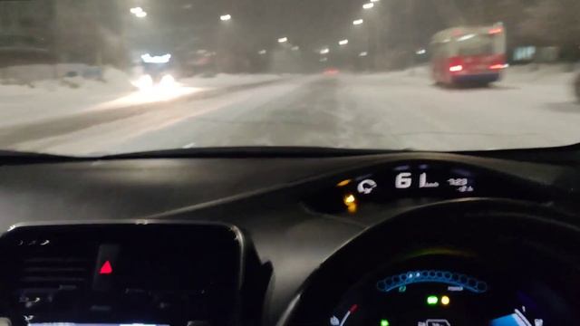 Ниссан лиф и назойливая черепаха