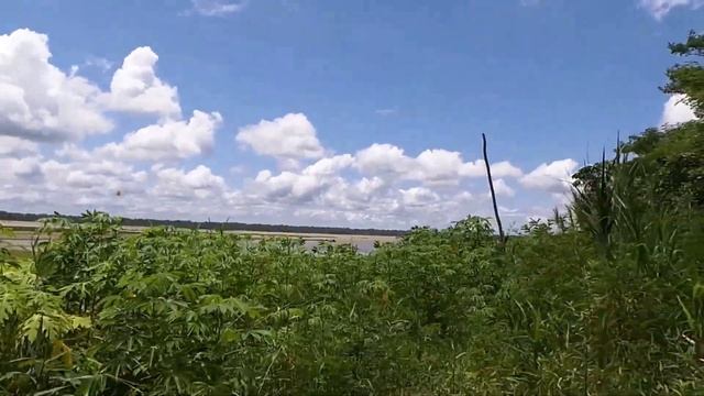 Амазония.Три дня дебрях Амазонки