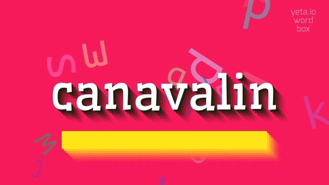 HOW TO SAY CANAVALIN? #canavalin