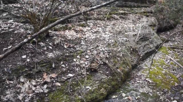 Родник в овраге Тюпсюз-дере смотреть онлайн