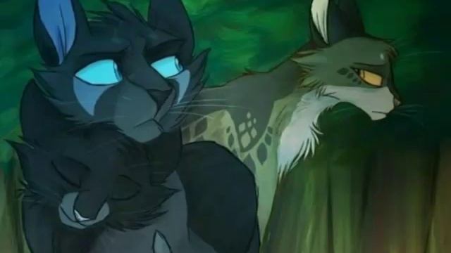 Семьи Котов Воителей. Семья Грача и Сумеречницы смотреть онлайн