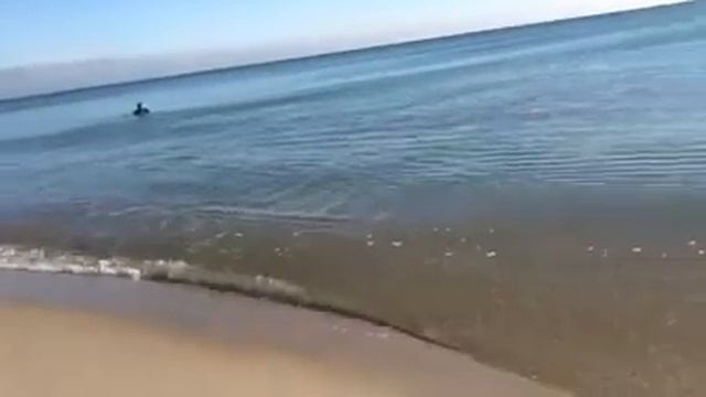 Отдых в Затоке ресторан Феличита - СТОП КАРАНТИН