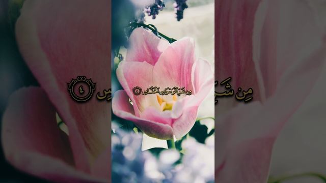 #القرآن_الكريم ❤️أسمع بقلبك смотреть онлайн