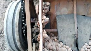 Посадка картофеля на поле двухрядной картофелесажалкой трактором МТЗ2018