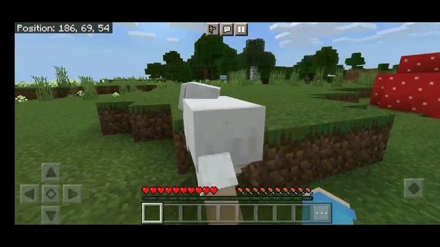 HOW TO DOWNLOAD MINECRAFT MORPH MOD IN MCPE || MEDIAFIRE 100% WORKING смотреть онлайн