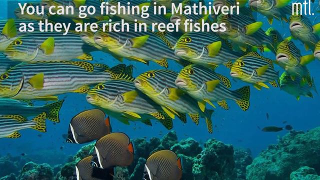 A.a Mathiveri смотреть онлайн