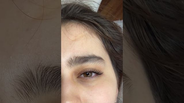 Классика Изгиб С (6-11) смотреть онлайн