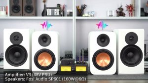 Debut HiFi Passive Speakers Coming! Fosi Audio SP601 vs DYNAUDIO EMIT 20