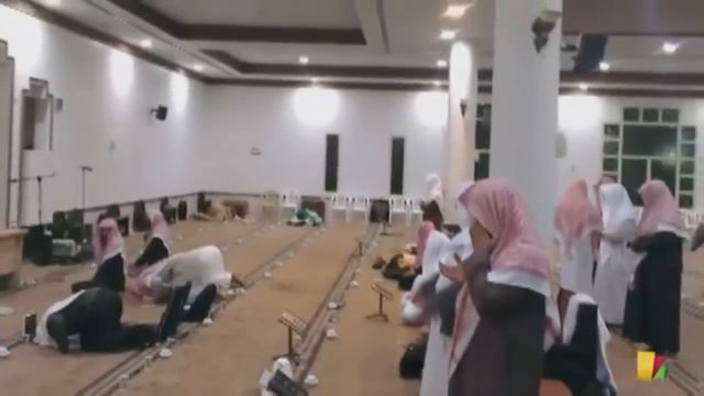 Картины уроков в Мечети и учеников Шейха Мухаддиса Абд аль-Азиз ибн Марзукъ Аль-Тарифи смотреть онлайн