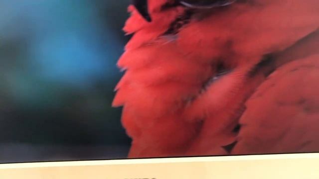 Телевизор Toshiba 22 смотреть онлайн