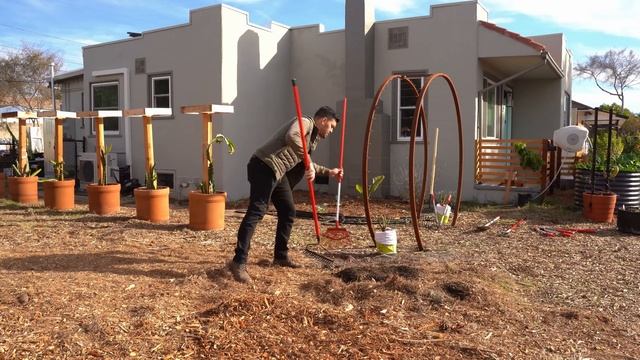 12 Essential Gardening Tools For Beginner And Advanced Gardeners