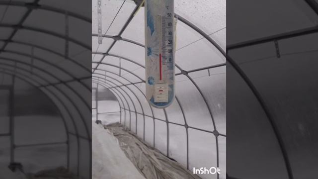 Пасмурный день, на улице 0. Проверяю температуру в теплицах смотреть онлайн