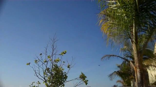 5 САМЫХ ТАИНСТВЕННЫХ ЗВУКОВ смотреть онлайн