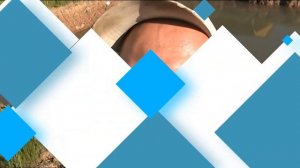 ЧЕМ КОРМЛЮ КАРАСЯ? ПРУД НА УЧАСТКЕ ИЖС!!!