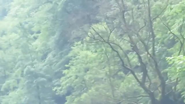 Dunajec River Rafting & Black Stork смотреть онлайн