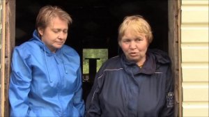 Как вырастить цикорий  Усова Наталья.