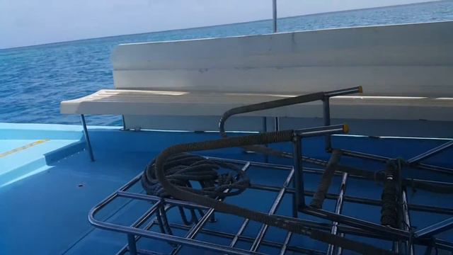 Ну вот полетали, теперь можно и поплавать) смотреть онлайн