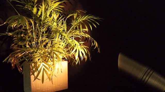 Makergroup MR11 Gu4.0 Bi-pin LED Light Bulb 3W 12VAC/DC Low Voltage LED Spotlights смотреть онлайн