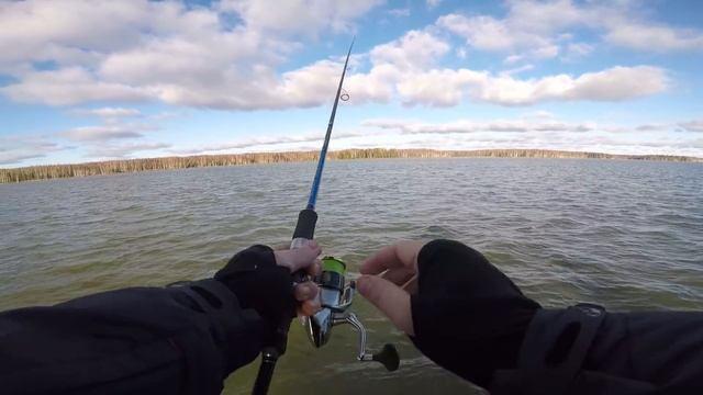 Рыбалка на Яузе . Ноябрь 2018