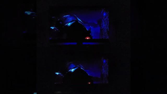 Ambilight Hue Grandiant Lightstrip vs HyperHdr (Hyperion) + apa102 in Dolby Vision смотреть онлайн