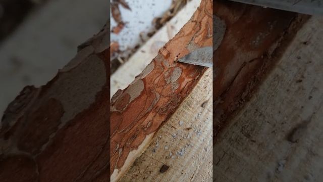 Учебник по Рукоделию