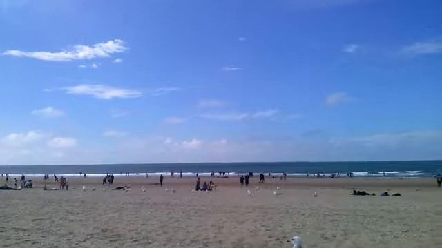 Можно ли отдыхать в Голландии на Северном море? смотреть онлайн