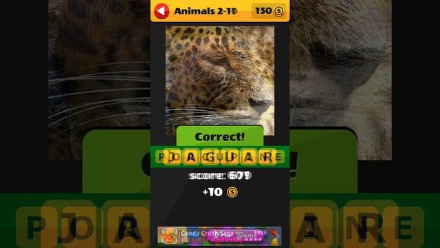 What's the Picture, Animals, Level 2, 1-20 -Itch Mania смотреть онлайн
