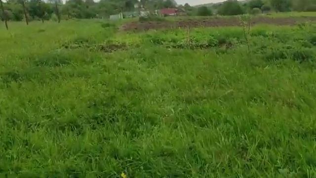 Им скучно,козам весело.Козы катаются.Шашлык из скумбрии.Ужинаем смотреть онлайн