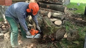 Бензопила Stihl MS 660 — лучший выбор для собственного бизнеса