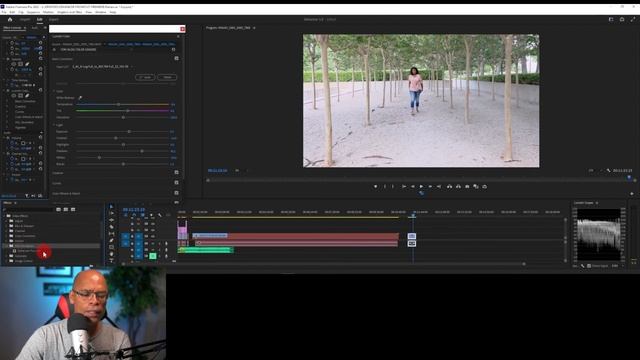 "New" DEHANCER 1.0 - Professional Film Look For Adobe Premiere смотреть онлайн