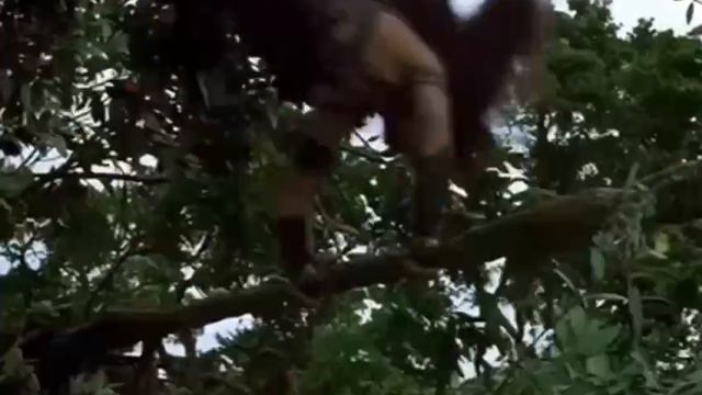 #meme #memes смотреть онлайн