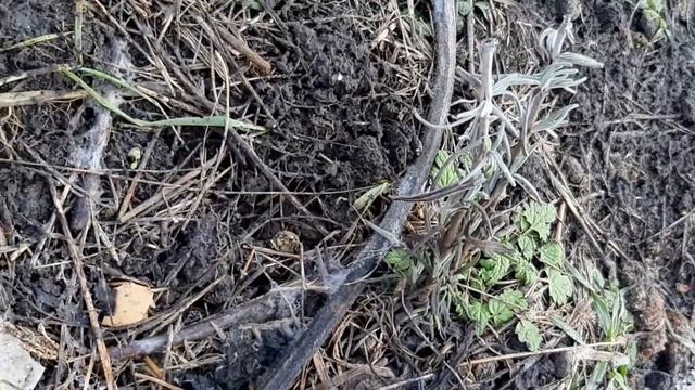 Стройка Успеха