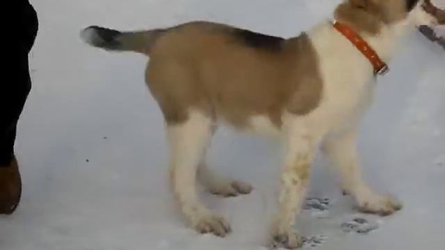 Персия 4 смотреть онлайн