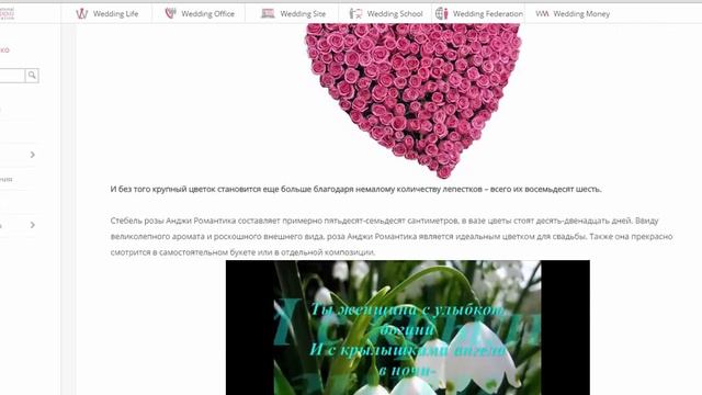 Как создать презентацию в Wedding office смотреть онлайн