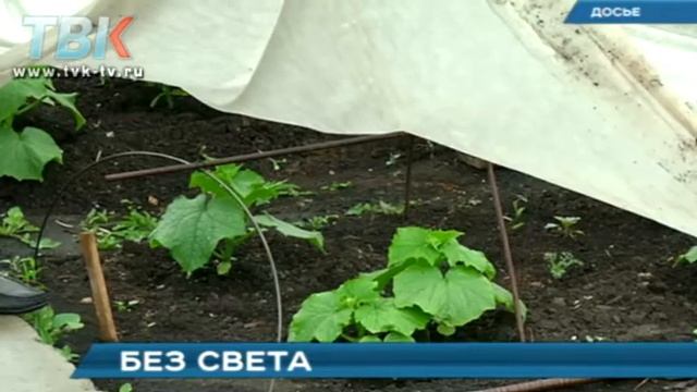 Липецкие садоводы сидят без электричества смотреть онлайн