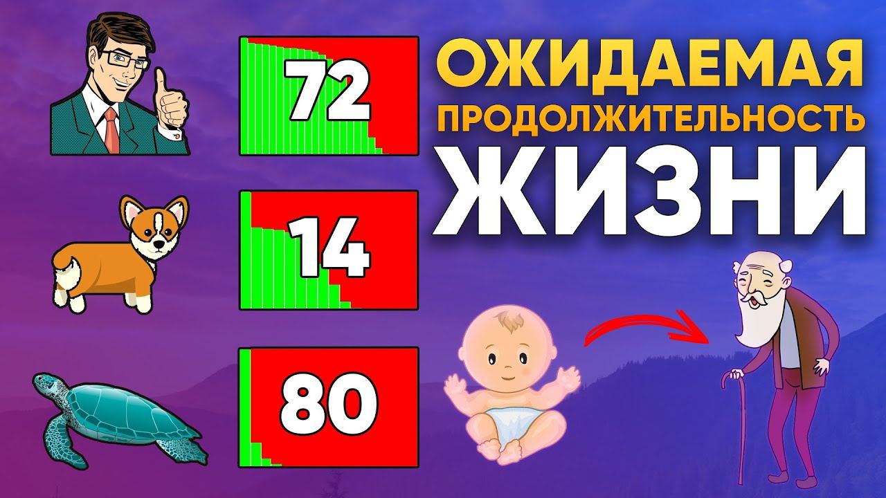 Что не так с «ожидаемой продолжительностью жизни»? | DeeaFilm смотреть онлайн