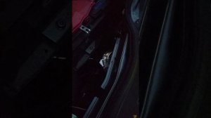 сигнал на Рено Дастер от Волги низкий,высокий тон