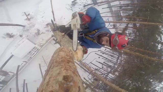 РусАрбо-удаление деревьев, расчистка участков, веткодробилка. смотреть онлайн