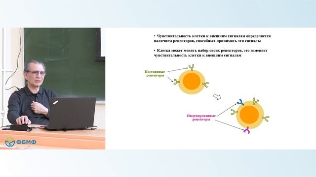 Sys Bio 2021 Lecture 10 смотреть онлайн