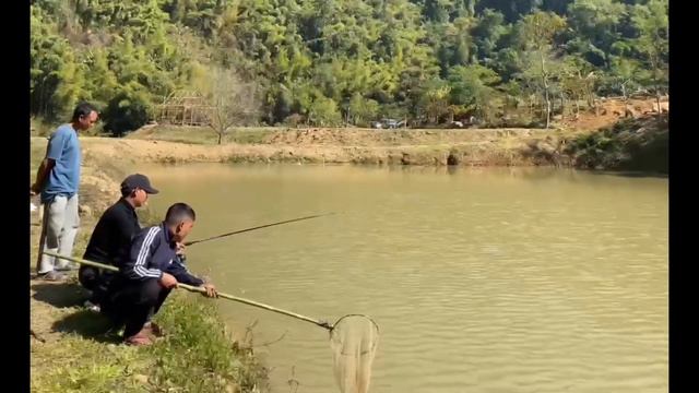 Sangha man hnem lutuk mai. Mizo Nghakuai khai #Nghakuai #fishing #angling #dil #mizoram смотреть онлайн