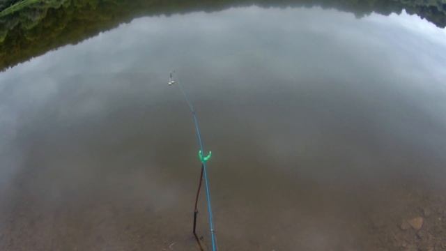 РЫБАЛКА НА ОКЕ под ТАРУСОЙ#2.ЛОВЛЯ ПЛОТВЫ на пшеницу.Странный зверек.РАКИ НА СЕТЬ. смотреть онлайн