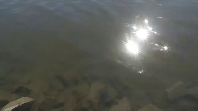 Летний отдых на водоёме 🏞️ смотреть онлайн