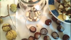 Конский каштан.Целебные свойства