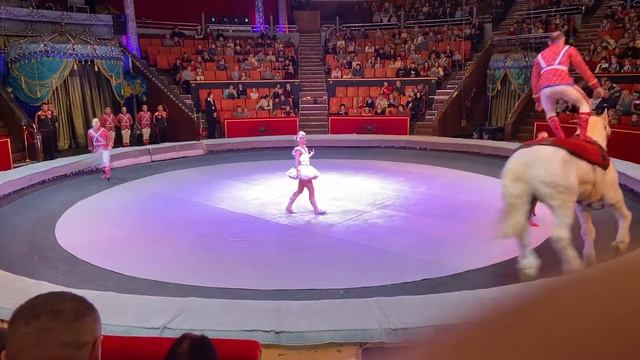 Песчаная сказка в Брянске смотреть онлайн