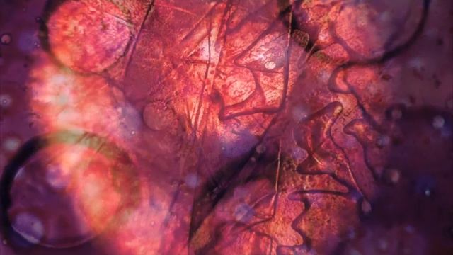 RMI KCII ambient improvisation смотреть онлайн