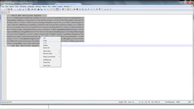 How do I replace the WAS self signed SSL certificate with a CA certificate? смотреть онлайн