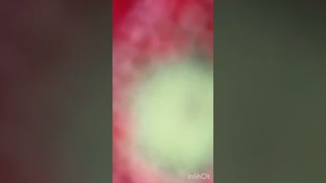 Букет из 15 гербер микс смотреть онлайн